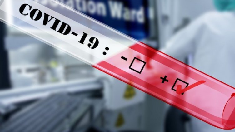 Снимка: Pixabay