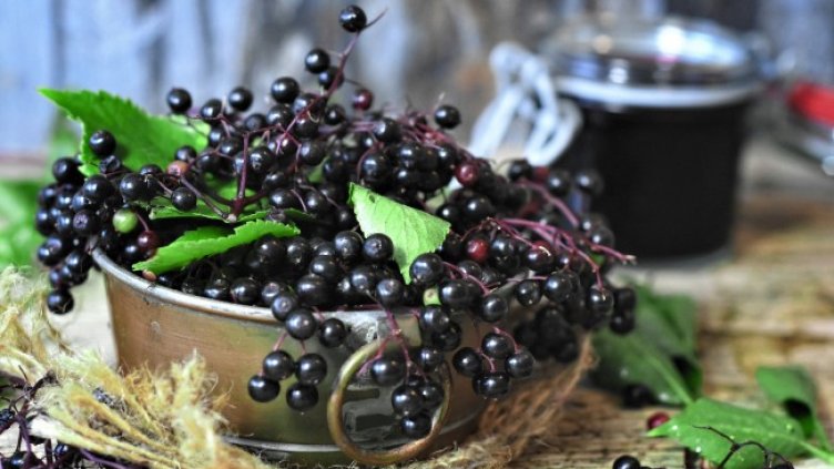 Снимка: Pixabay