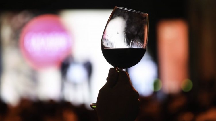 Снимка: архив, БГНЕС