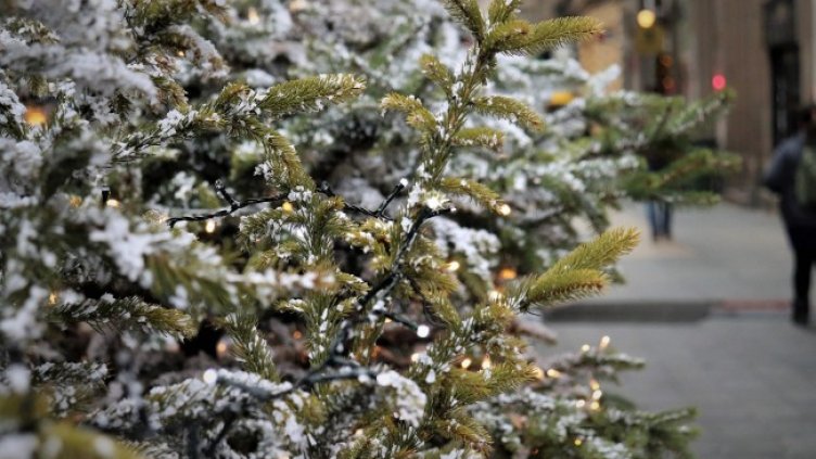 Снимка: Pixabey