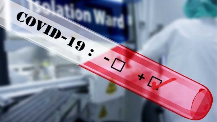 Снимка: Pixabay