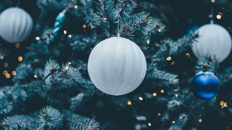 Снимка: Pixabey