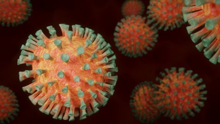 Снимка: Pixabay