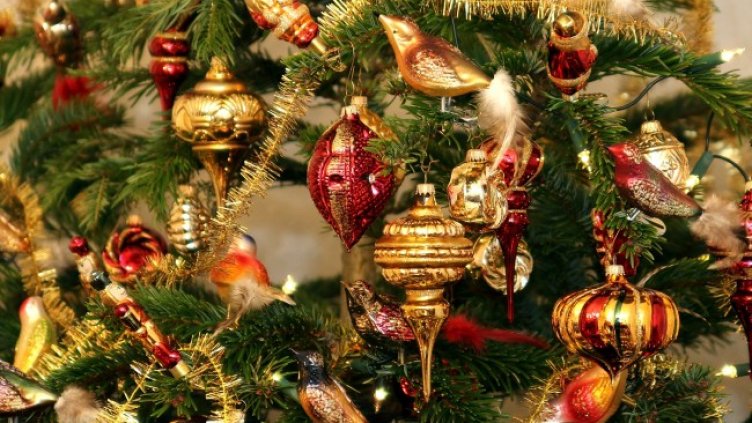 Снимка: Pixabay