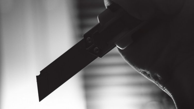 Снимка: Pixabay