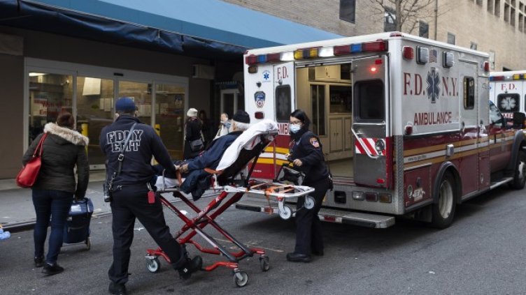 Снимка: архив, БГНЕС