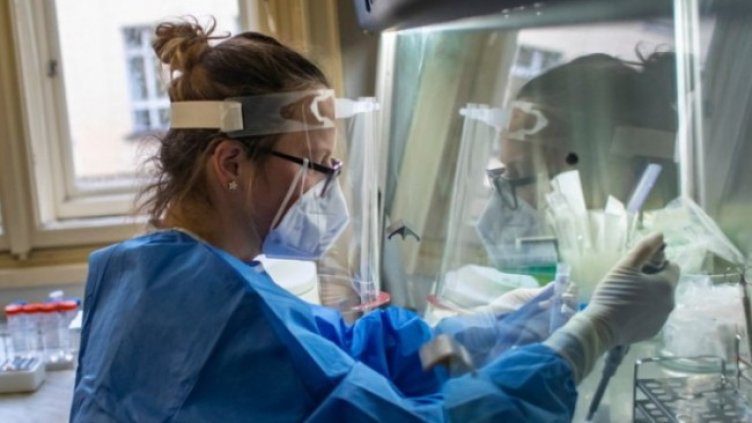 Снимка: архив, БГНЕС