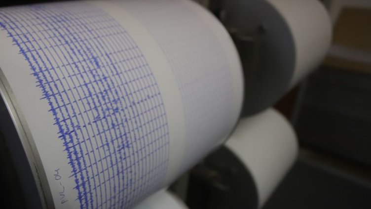 Снимка: архив, БГНЕС