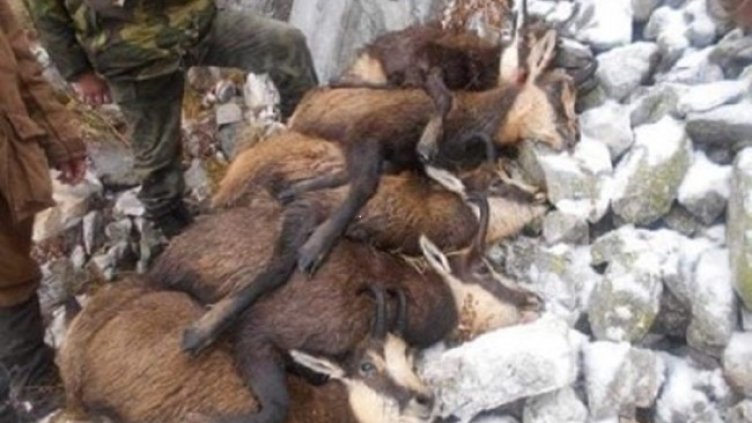 Снимка: Facebook