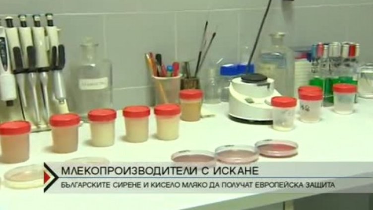 Снимка: Bulgaria ON AIR