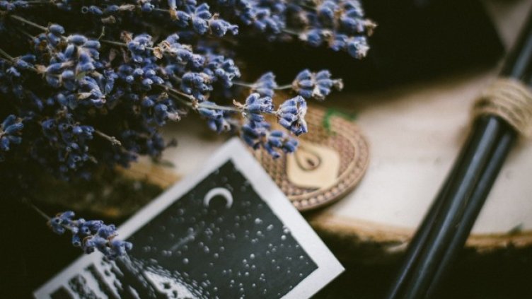 Снимка: Pixabay