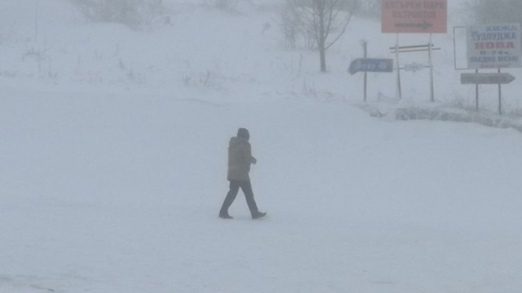 Снимка: БГНЕС