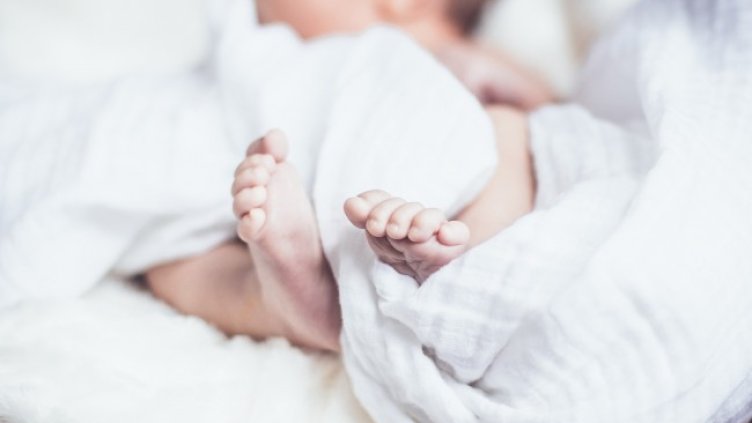 Снимка: Pixabay