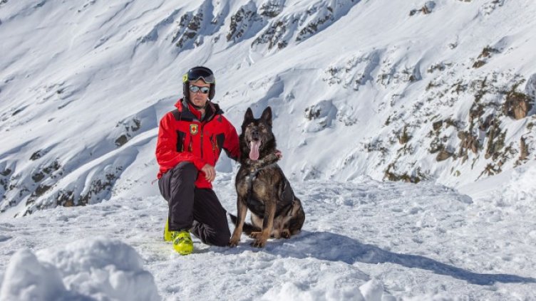 Отряд на четири лапи, отдаден да спасява човешки животи