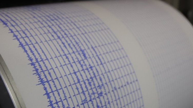 Снимка: архив, БГНЕС