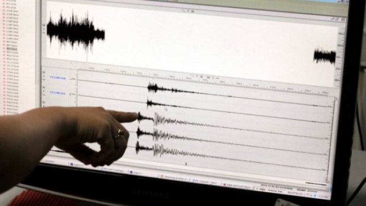 Снимка: архив, БГНЕС