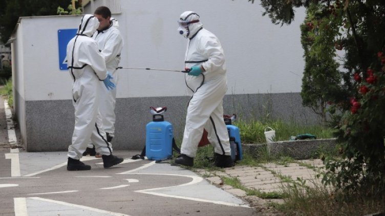 Снимка: БГНЕС