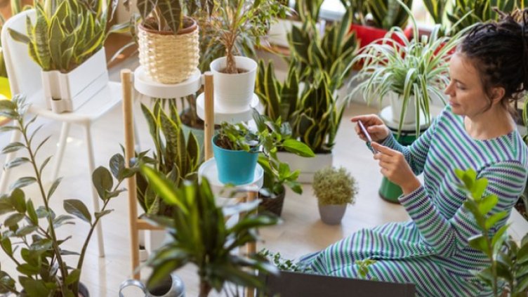 Снимка: Istock