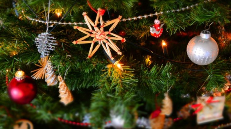 Снимка: Pexels