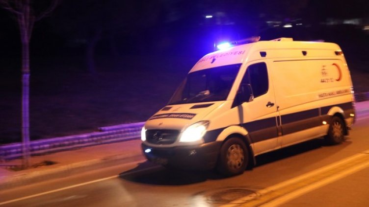 Снимка: архив, БГНЕС