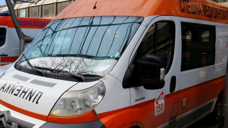 Снимка: архив, БГНЕС