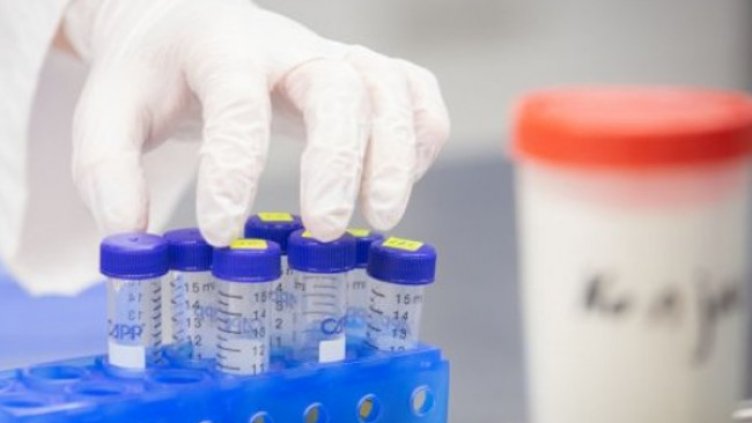 Снимка:Димитър Кьосемарлиев, Dnes.bg