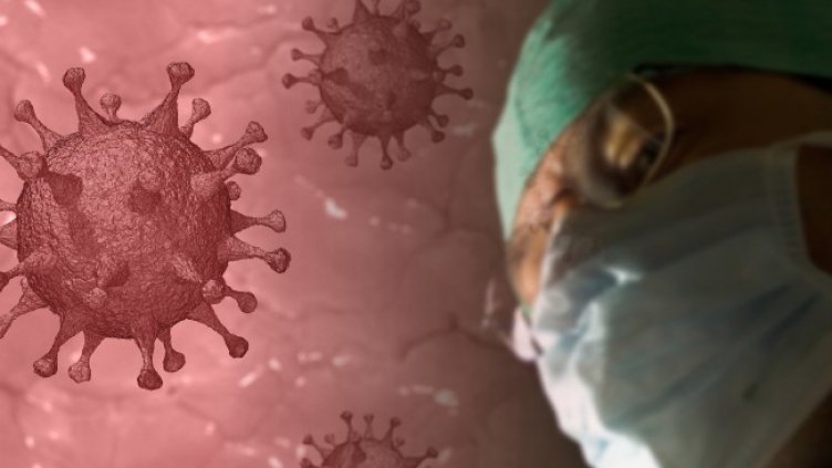 Снимка: Pixabay