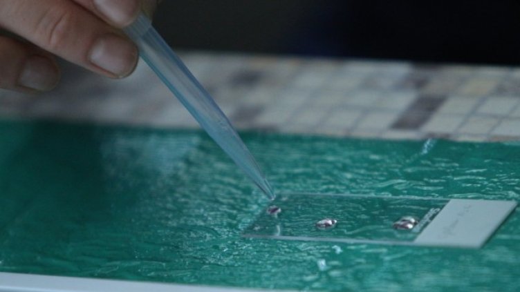 Пуснаха я! Агенцията по лекарствата одобри първа ваксина