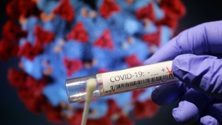 Снимка: архив, БГНЕС