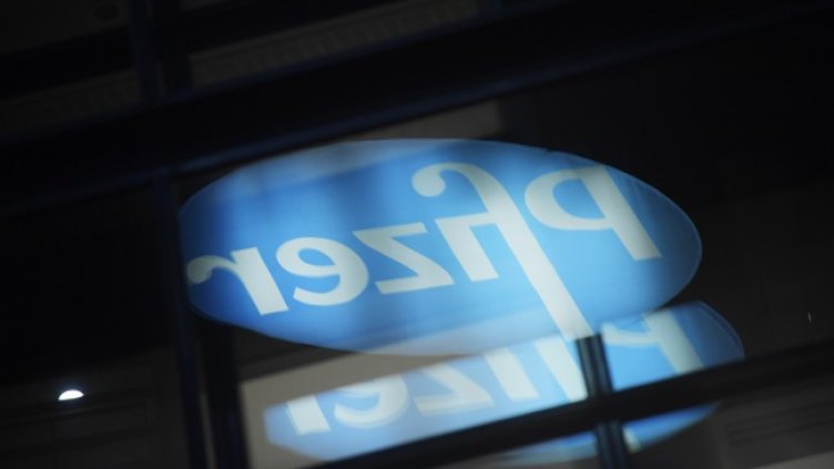 Снимка: архив, БГНЕС