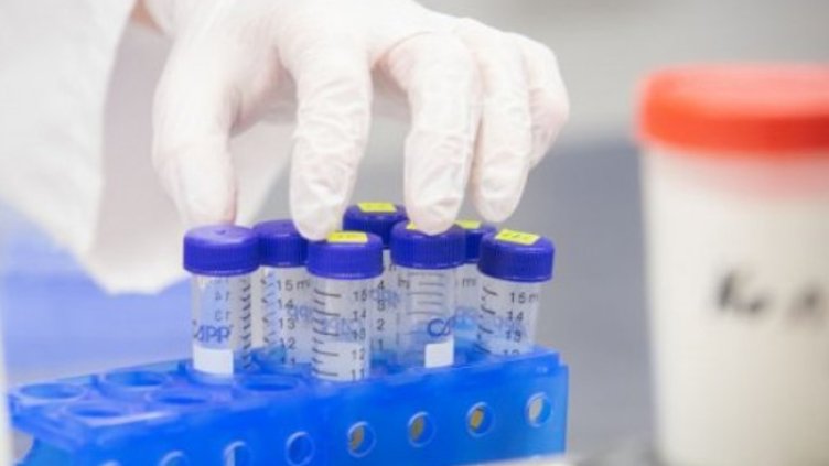 Снимка:Димитър Кьосемарлиев, Dnes.bg