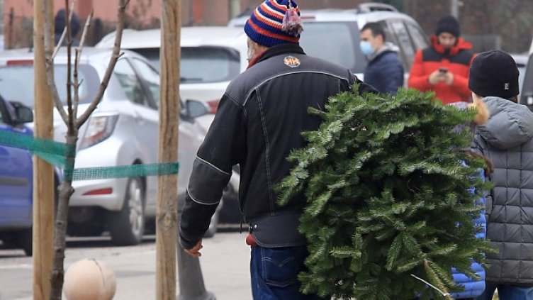 Снимка: БГНЕС