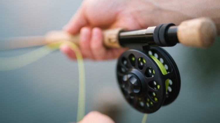 Снимка: Pixabay