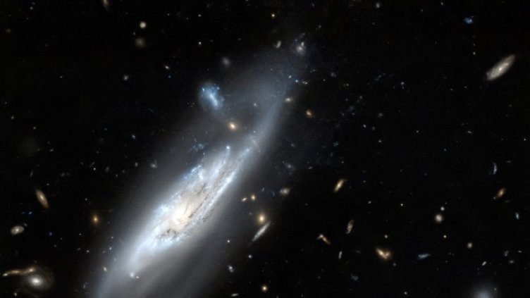 Снимка: архив, БГНЕС