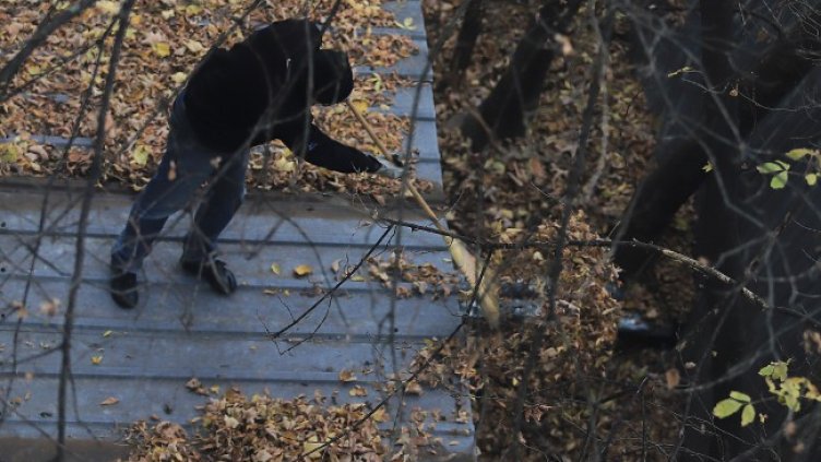 Снимка: архив, БГНЕС