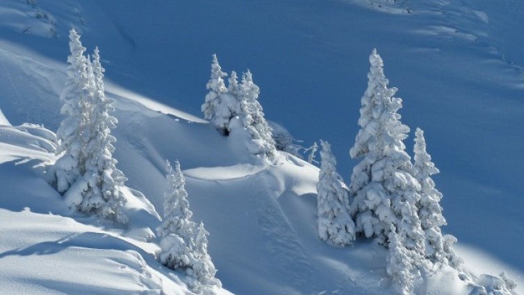 Снимка: Pixabay