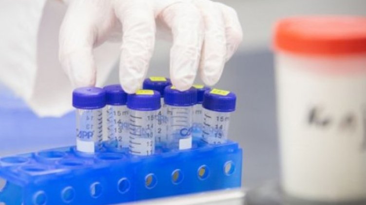 Снимка:Димитър Кьосемарлиев, Dnes.bg