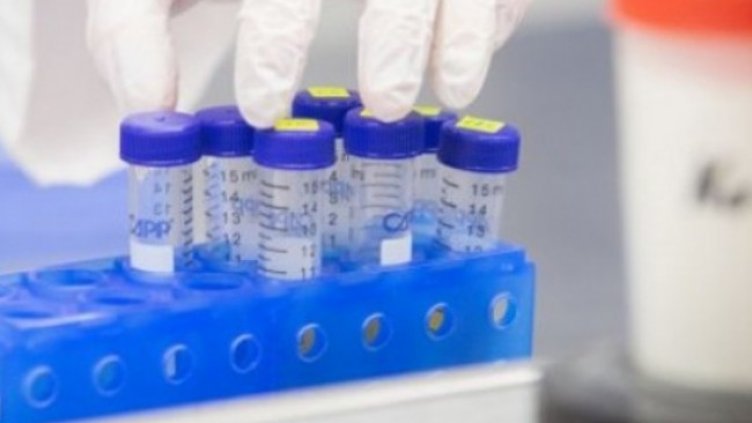 Има ли в България от новия щам на коронавируса?