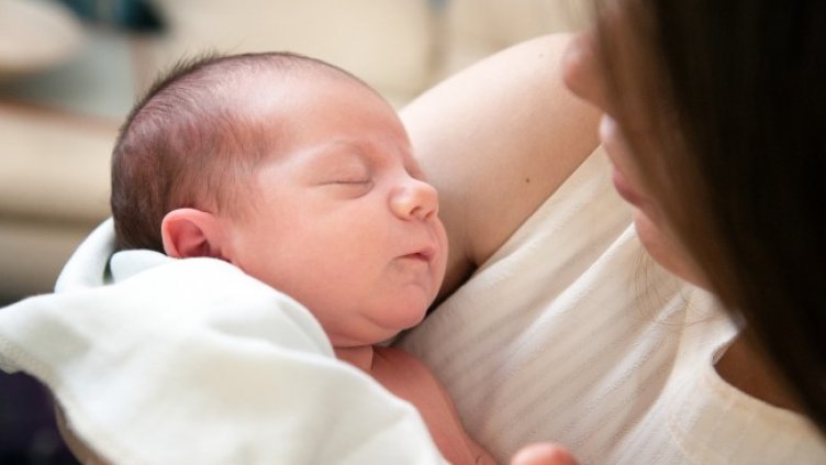 Снимка: Pixabey