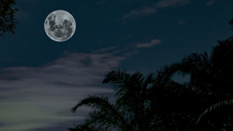 Снимка: Pexels