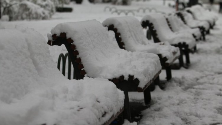 Снимка: архив, БГНЕС