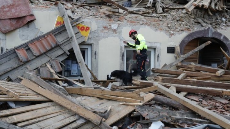 Снимка: БГНЕС