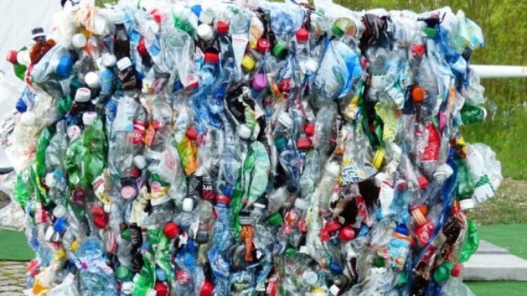 Снимка: Pixabay