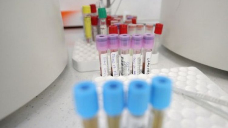 Снимка: Димитър Кьосемарлиев