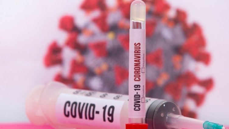 Снимка: Pixabay