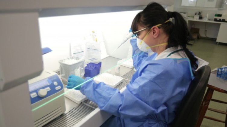 Снимка: Димитър Кьосемарлиев, Dnes.bg