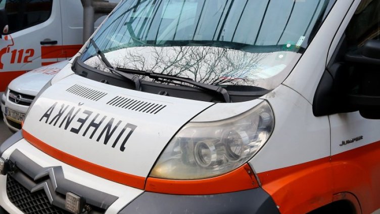 Снимка: архив, БГНЕС