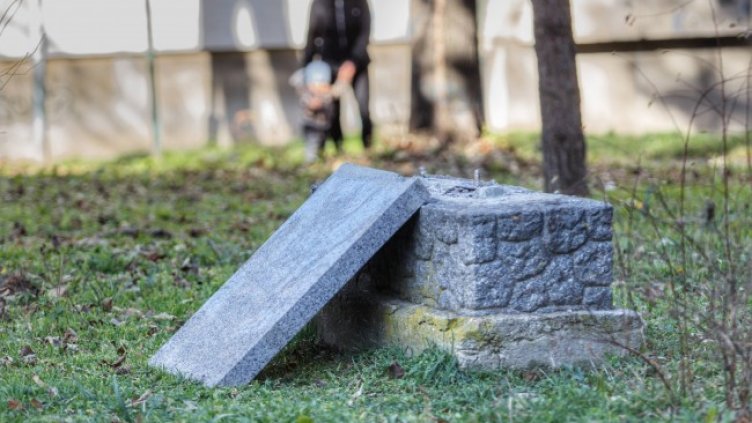 Снимка: Димитър Кьосемарлиев, Dnes.bg