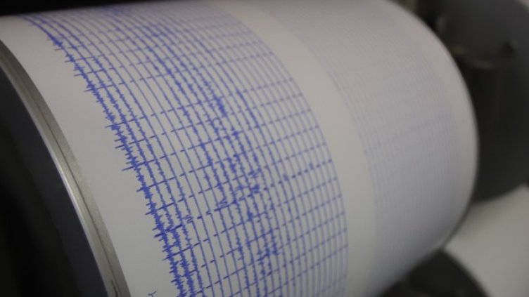 Снимка: архив, БГНЕС