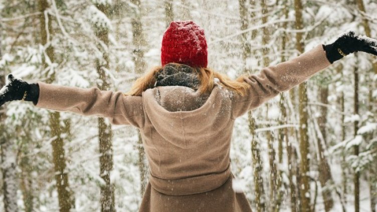 Снимка: Pexels